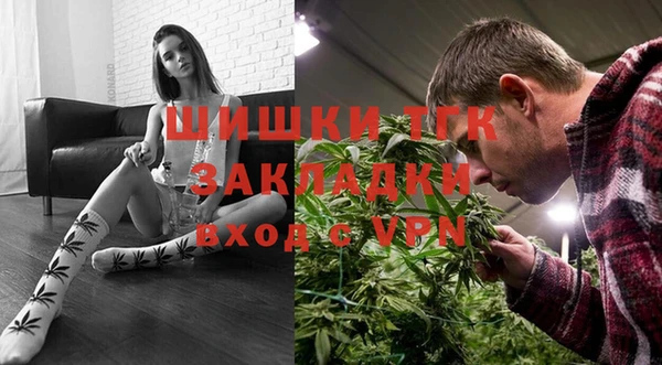 ECSTASY Богородицк